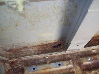 zum Vergrößern ins Bild klicken zum Vergrößern ins Bild klicken