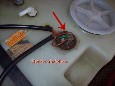 zum Vergrößern ins Bild klicken zum Vergrößern ins Bild klicken