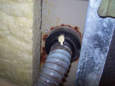 zum Vergrößern ins Bild klicken zum Vergrößern ins Bild klicken